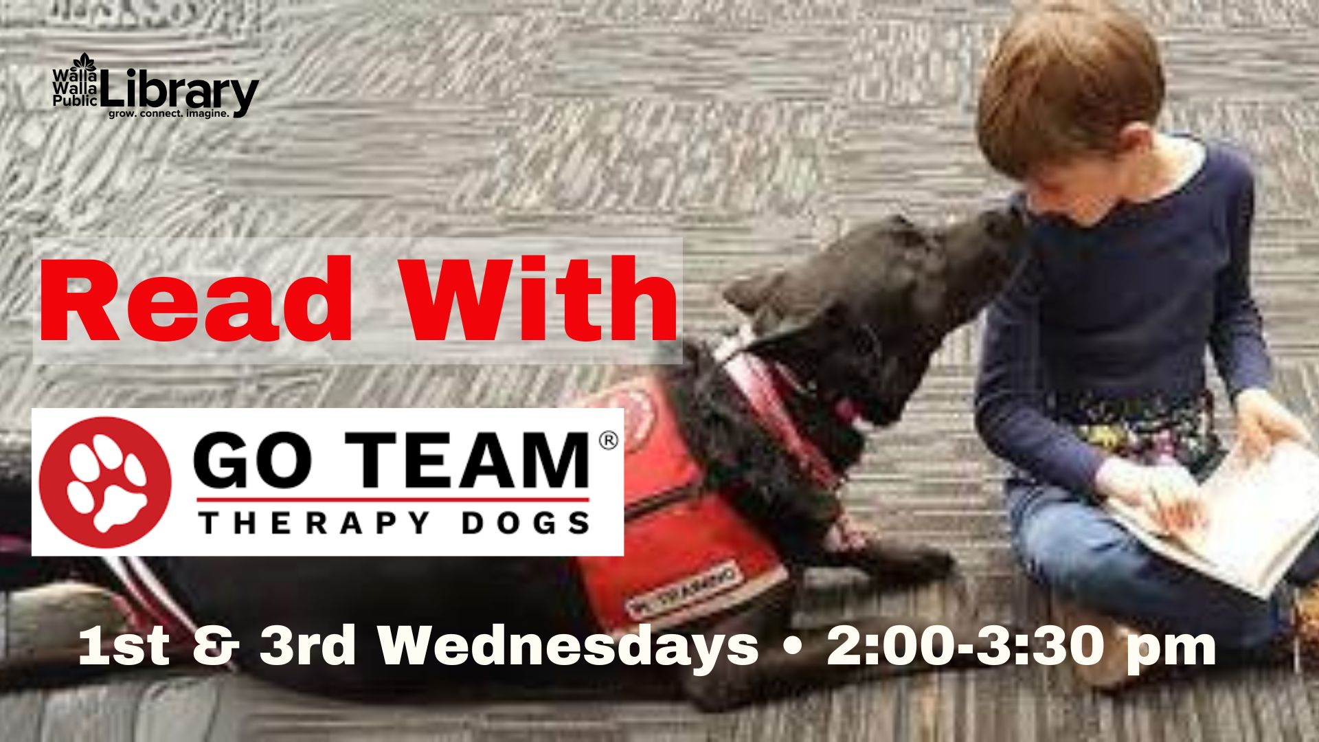 A boy reads with a Go Team Therapy dog.