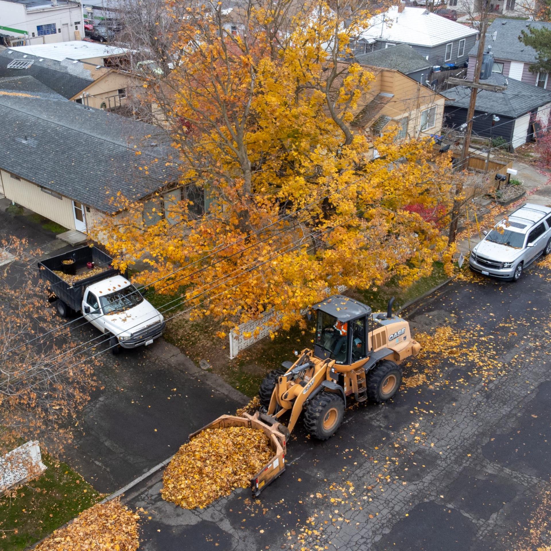 Front end loader collecting leaves in a residential area.