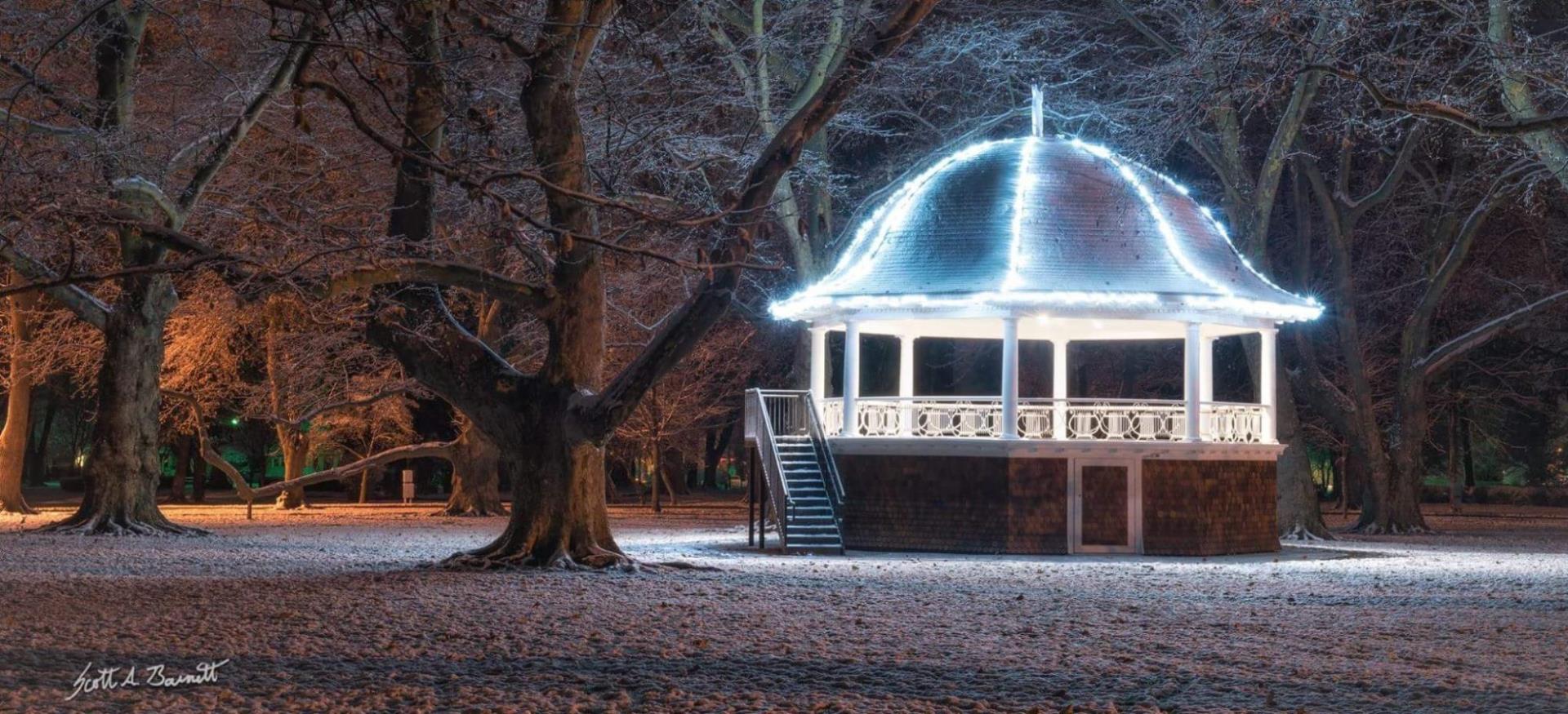 Pioneer Park Band Stand-Tree Limb Beauty Shot 2016 5