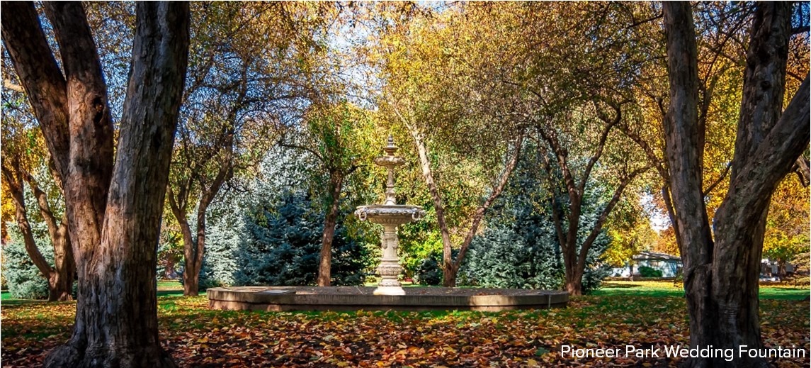 Pioneer Park Wedding Fountain (2)