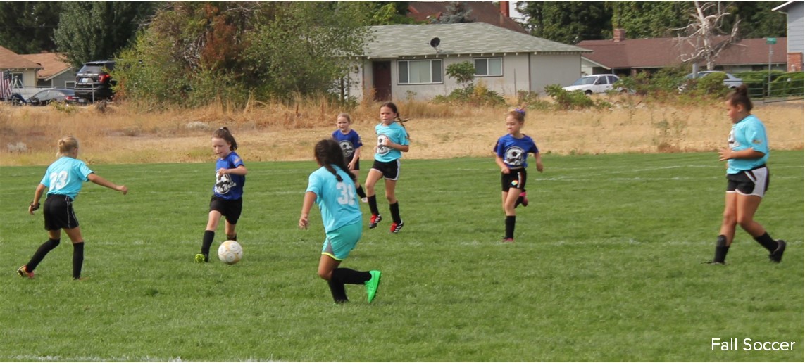 Children play soccer on a grass field