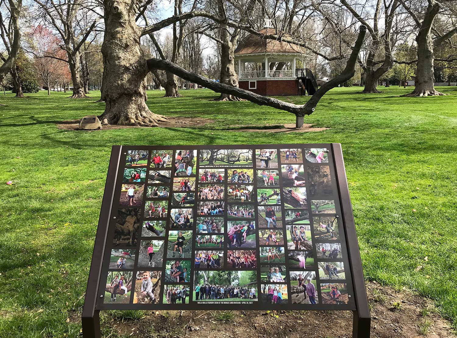 A sign with photos of the limb in Pioneer Park with the bronze limb and band stand in the background