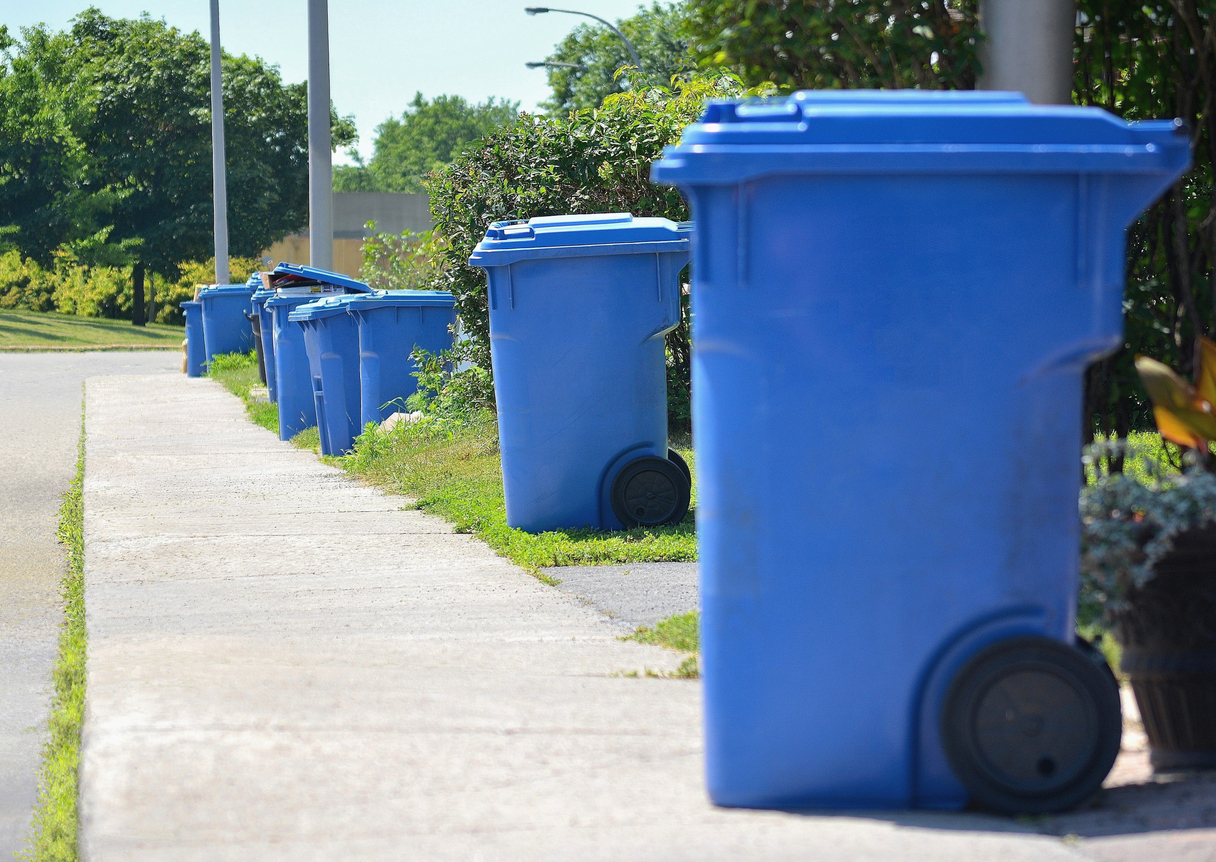 Curbside recycling bins ready for pickup.